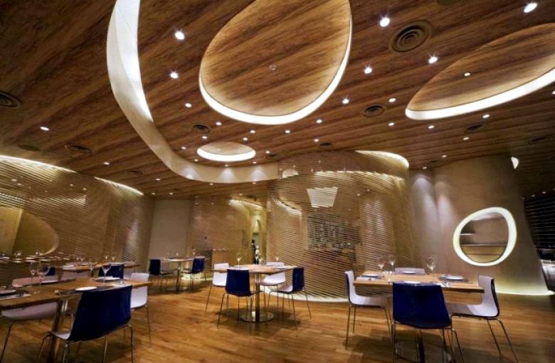 Project 6 - 25-suspended-ceiling-ideas-wood-design-contemporary-pendant-0-673.jpg